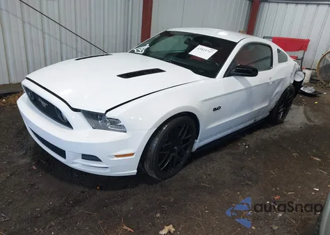 2014 Ford Mustang Gt z USA, uszkodzony, nr VIN 1ZVBP8CF2E5268476